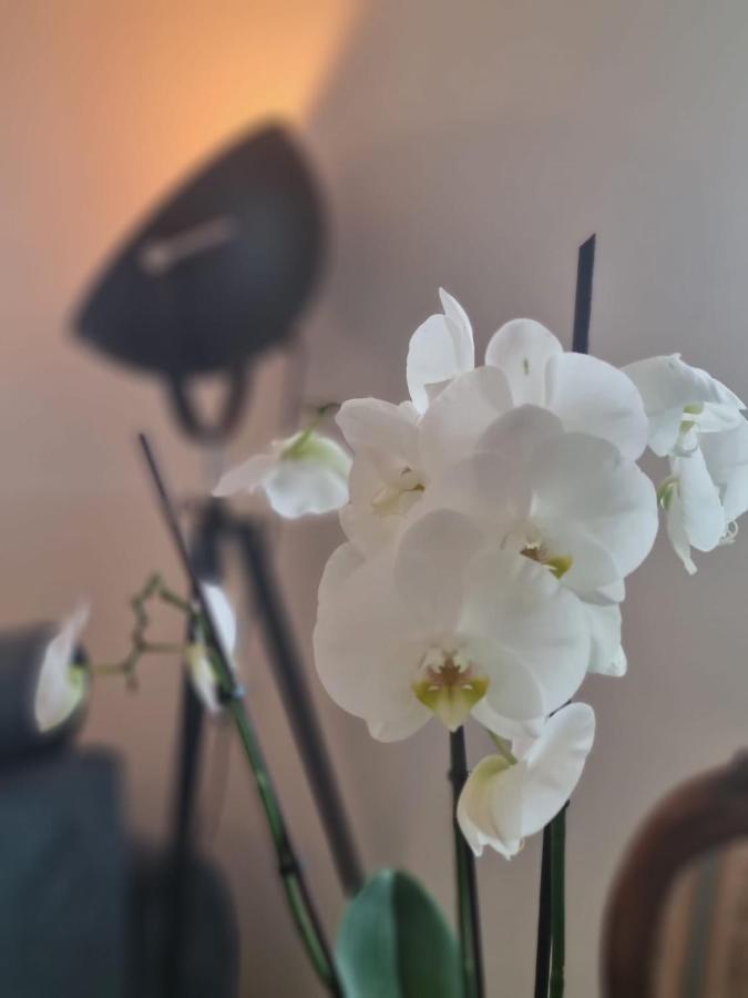 Wellness Ferienhaus Mechernich Εξωτερικό φωτογραφία