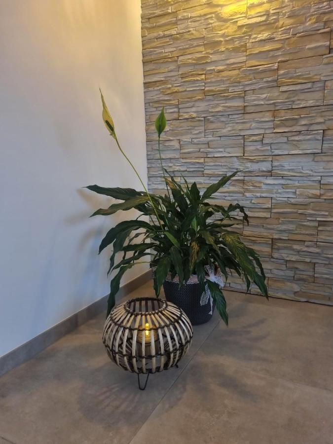 Wellness Ferienhaus Mechernich Εξωτερικό φωτογραφία